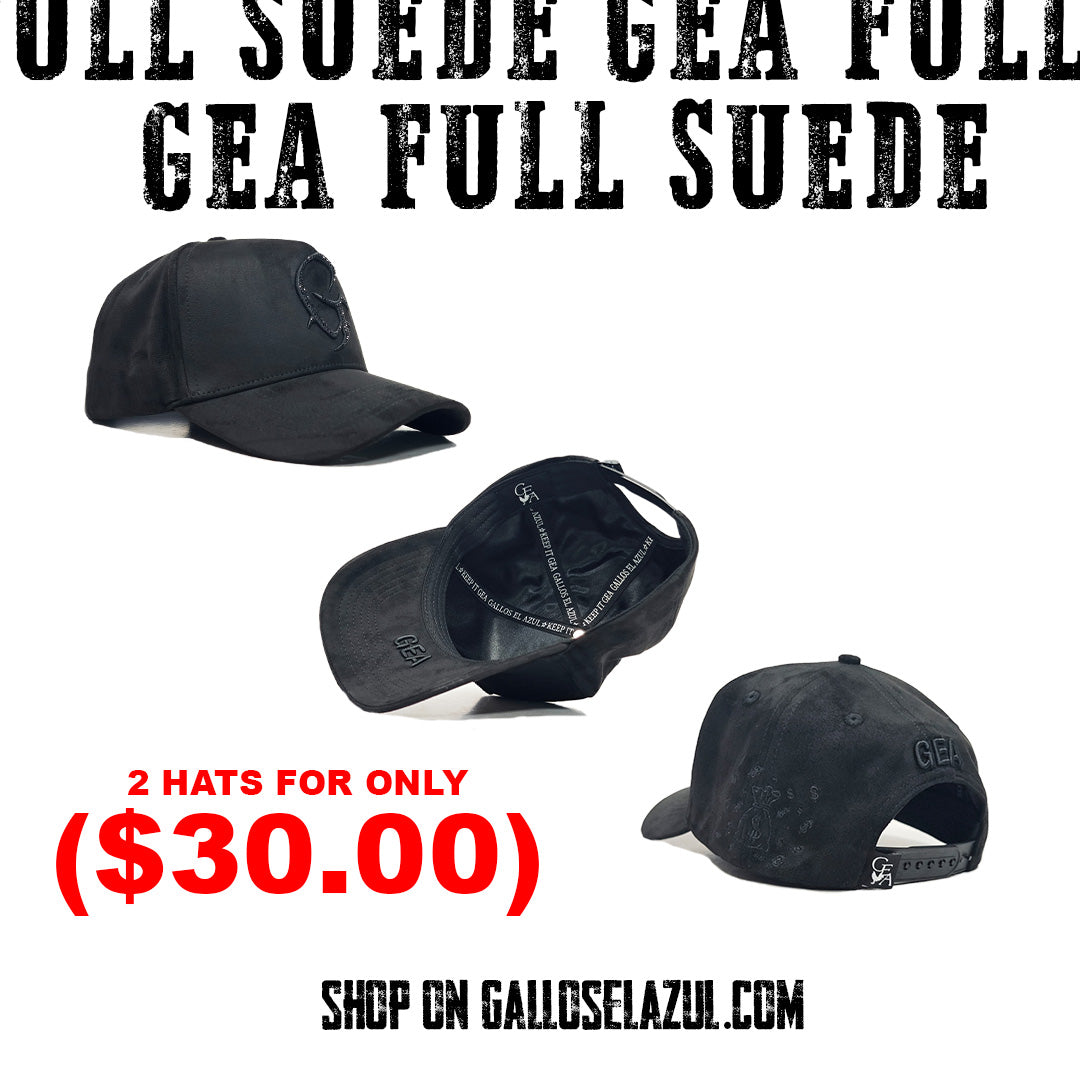 2 SUEDE HATS